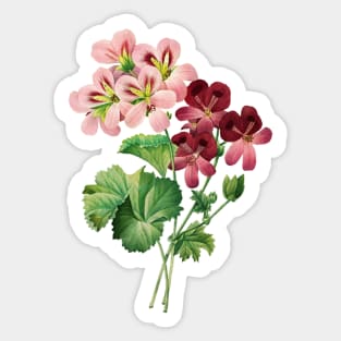 Pink Flower Sticker